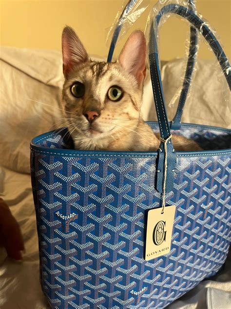 goyard cat tote